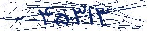 کد امنیتی